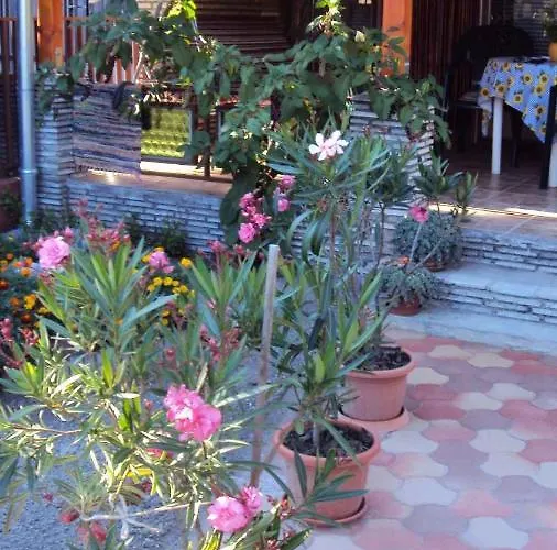 In 19321 * Балатонмариафюрдё